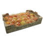 POMME RUBINETTE MOUNEYRAC 5KG